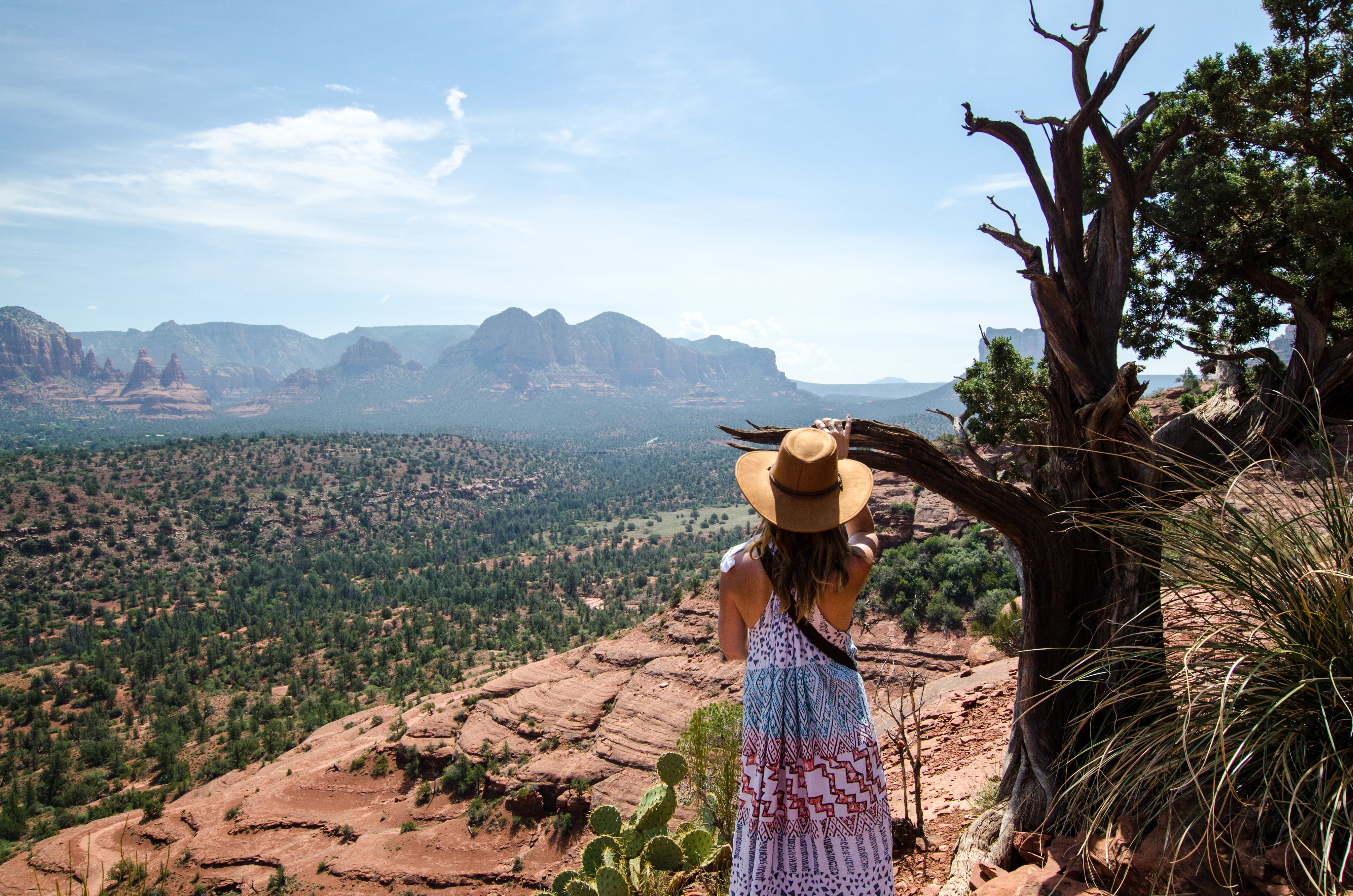 files/a-woman-by-a-tree-looks-down-over-valley.jpg